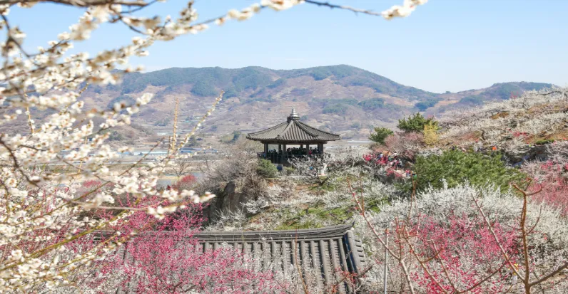 사진- 광양 여행 문화 관광