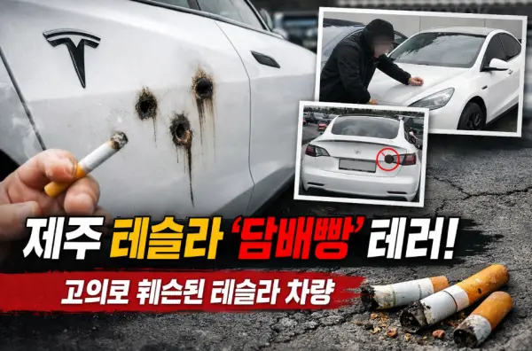 제주 테슬라 '담배빵' 테러 중학생 4명 입건… "호기심 아닌 범행"